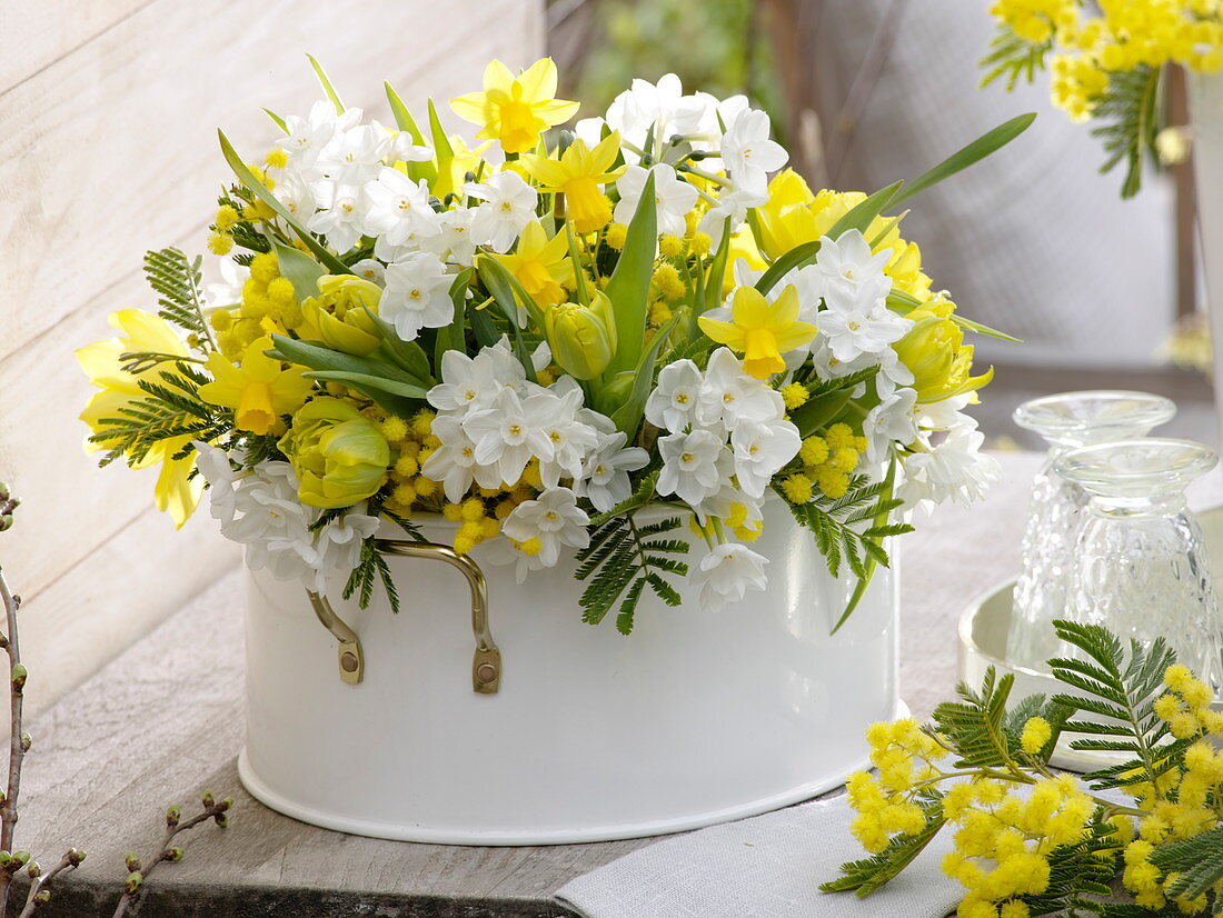 White metal bowl with Narcissus 'Inbal' syn. 'Paperwhite' 'Tete a Tete'