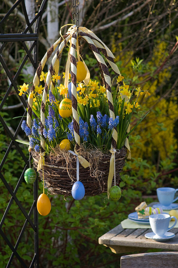 Österlicher Korb aus Birkenreisig bepflanzt mit Narcissus 'Tete a Tete'