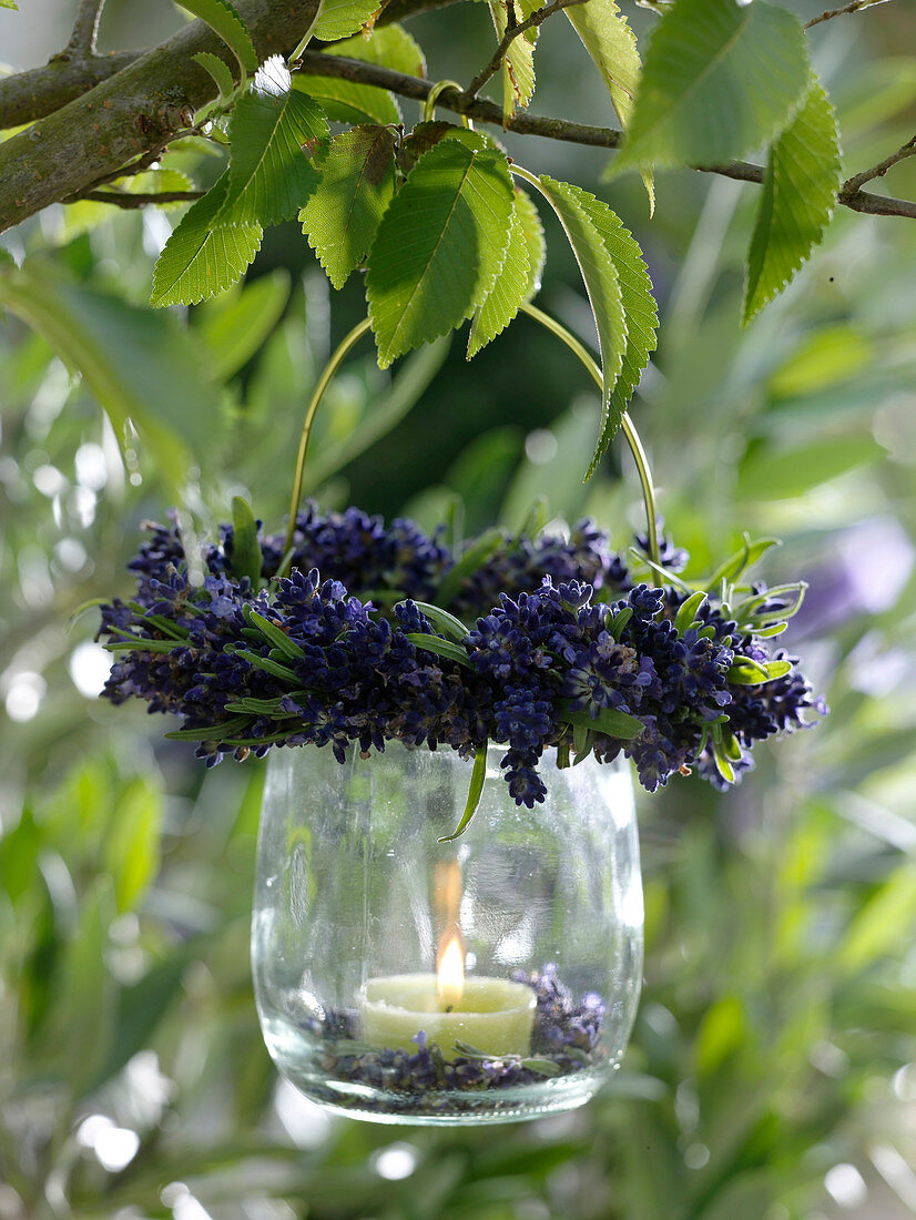 Kleines Windlicht mit Kränzchen aus Lavandula (Lavendel) an Zweig gehängt