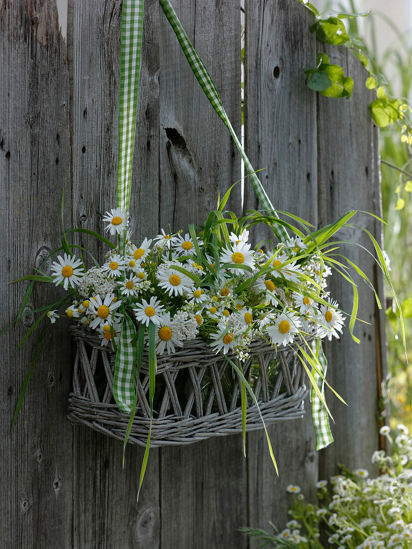 Korb mit kleinen Sträußen aus Tanacetum (Wucherblume), Leucanthemum