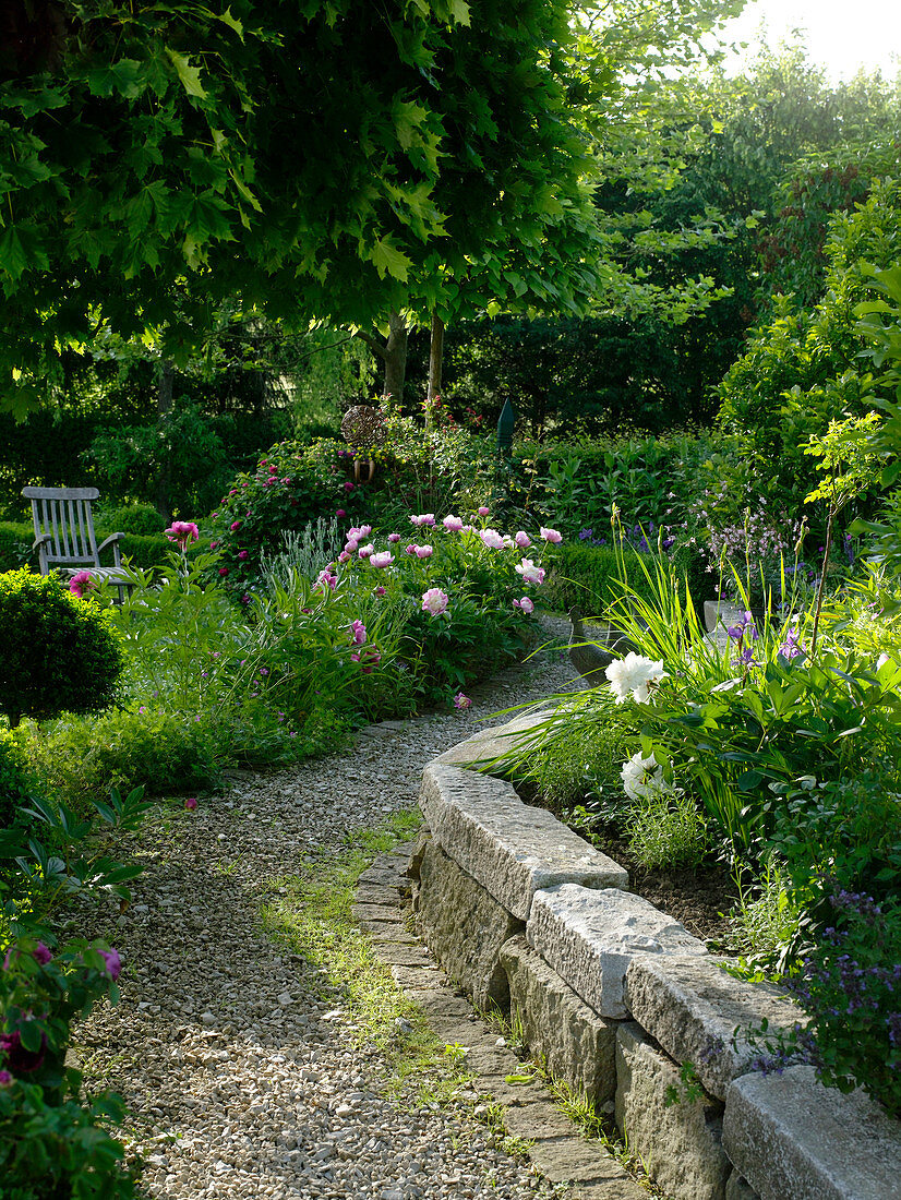 Granite blocks wall, path of gravel, perennial beds with Paeonia