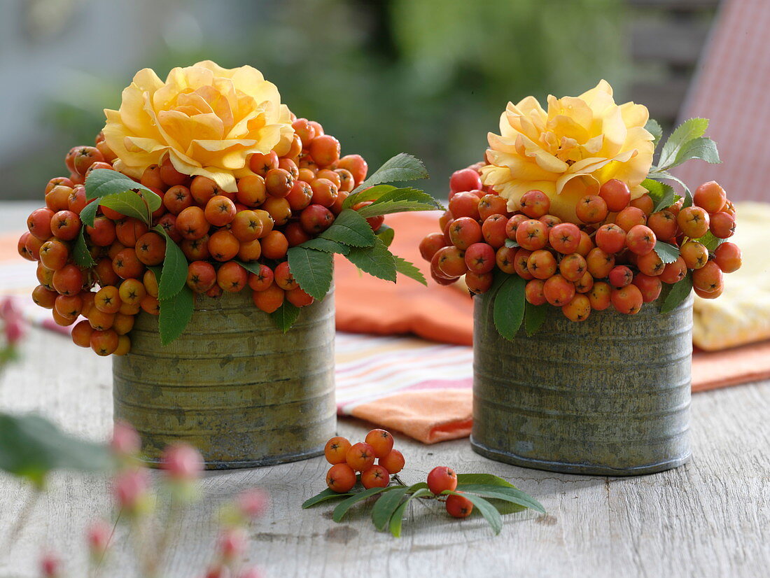 Mini-Sträuße aus Rosa 'Tequila' (Rosen) und Sorbus aucuparia (Vogelbeeren)