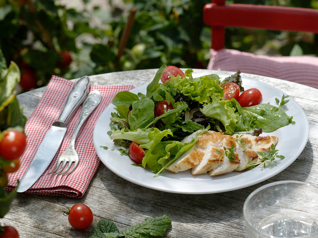 Gebratenes Hähnchenbrustfilet mit Salat aus Lactuca 'Babyleaf - Mix'