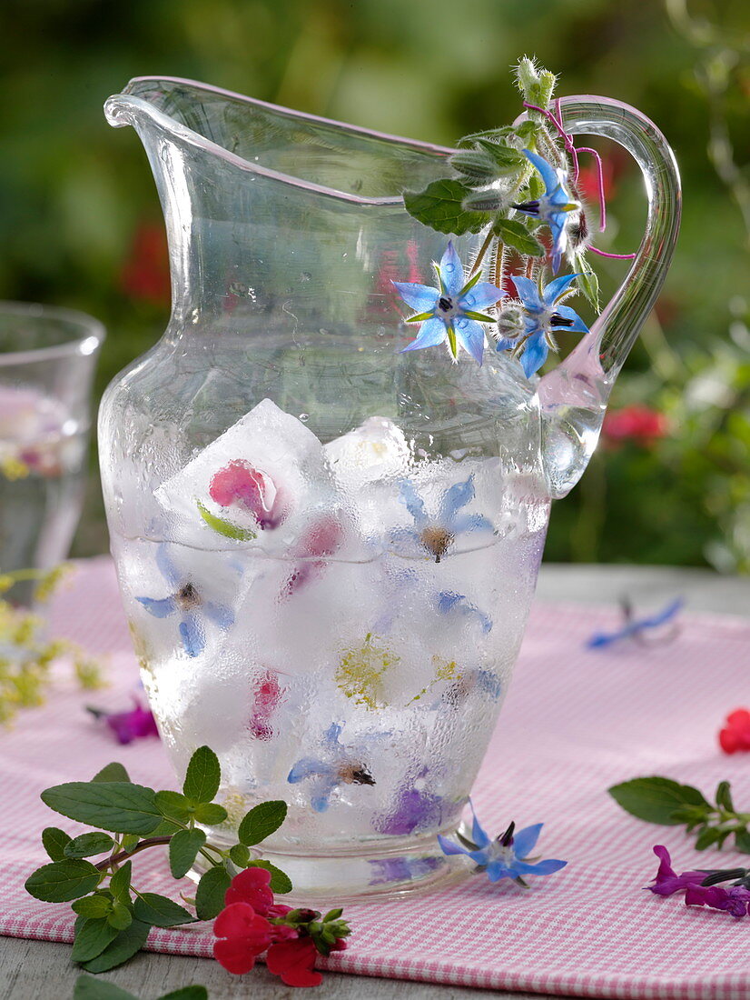 Eiswürfel mit eingefrorenen Kräuter - Blüten