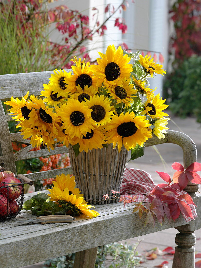 Basket vase with sunflowers