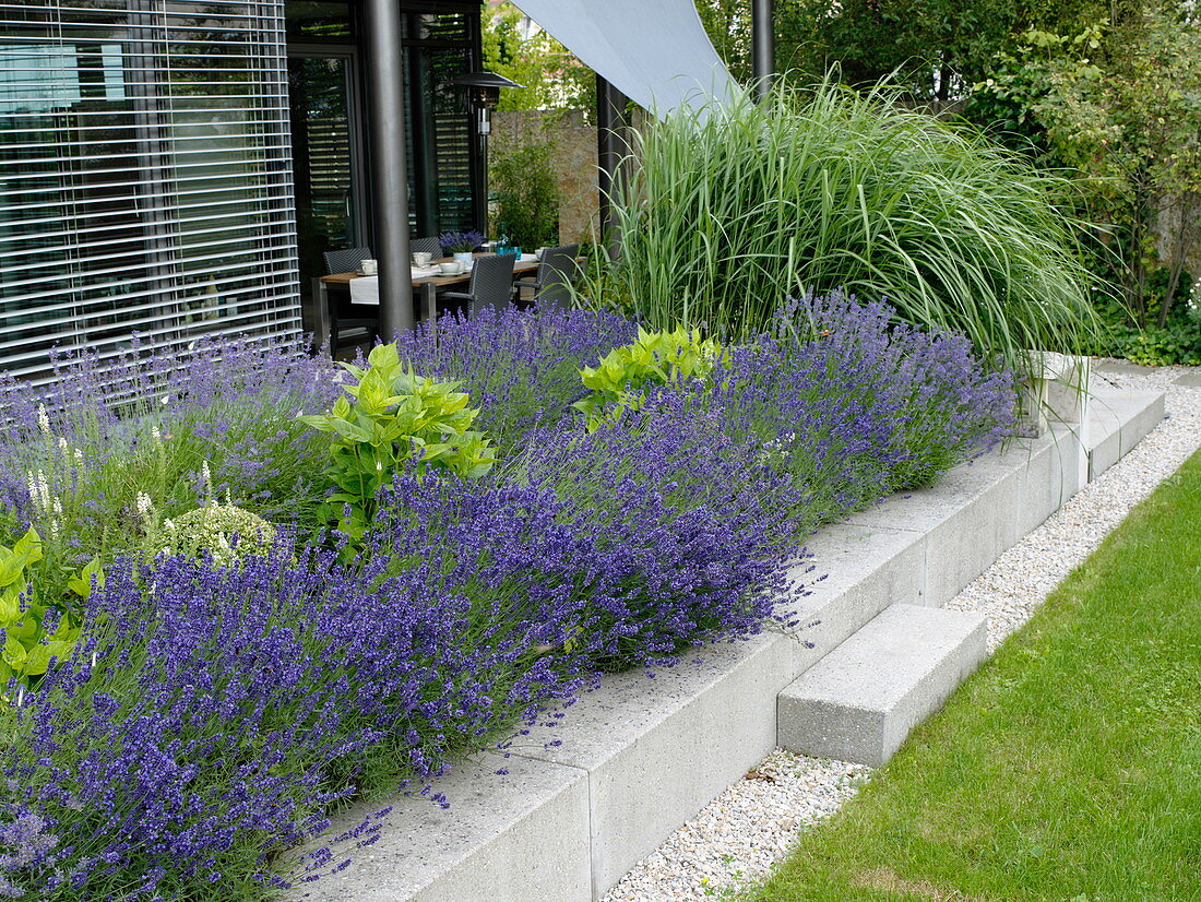 Terrace bed with concrete edging