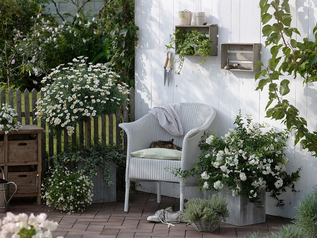 weiße Terrasse mit Korbsessel und Kübelpflanzen