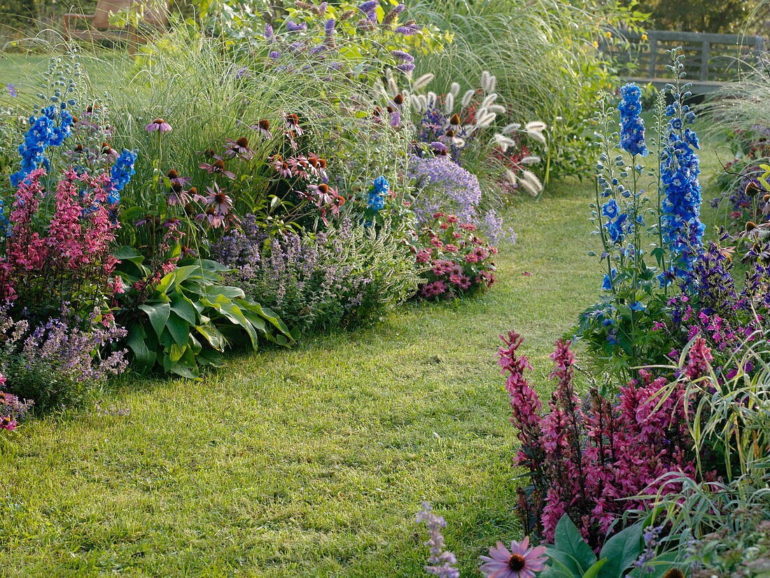 Lawn path between flowerbeds with perennials, summer flowers and grasses