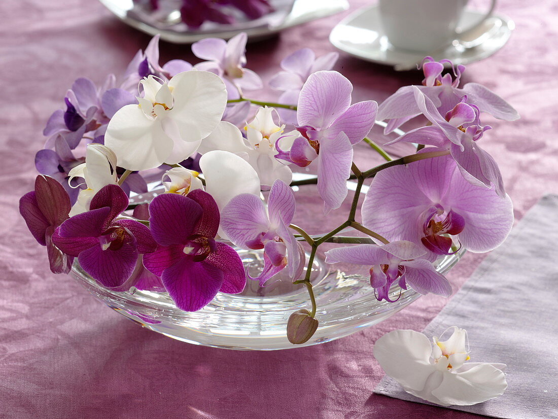 Orchids in glass bowl as table decoration