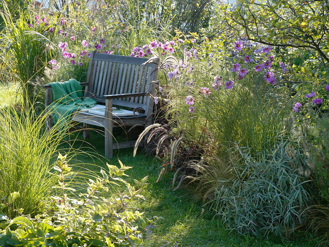 Wooden bench on the grassy bed with decorative basket