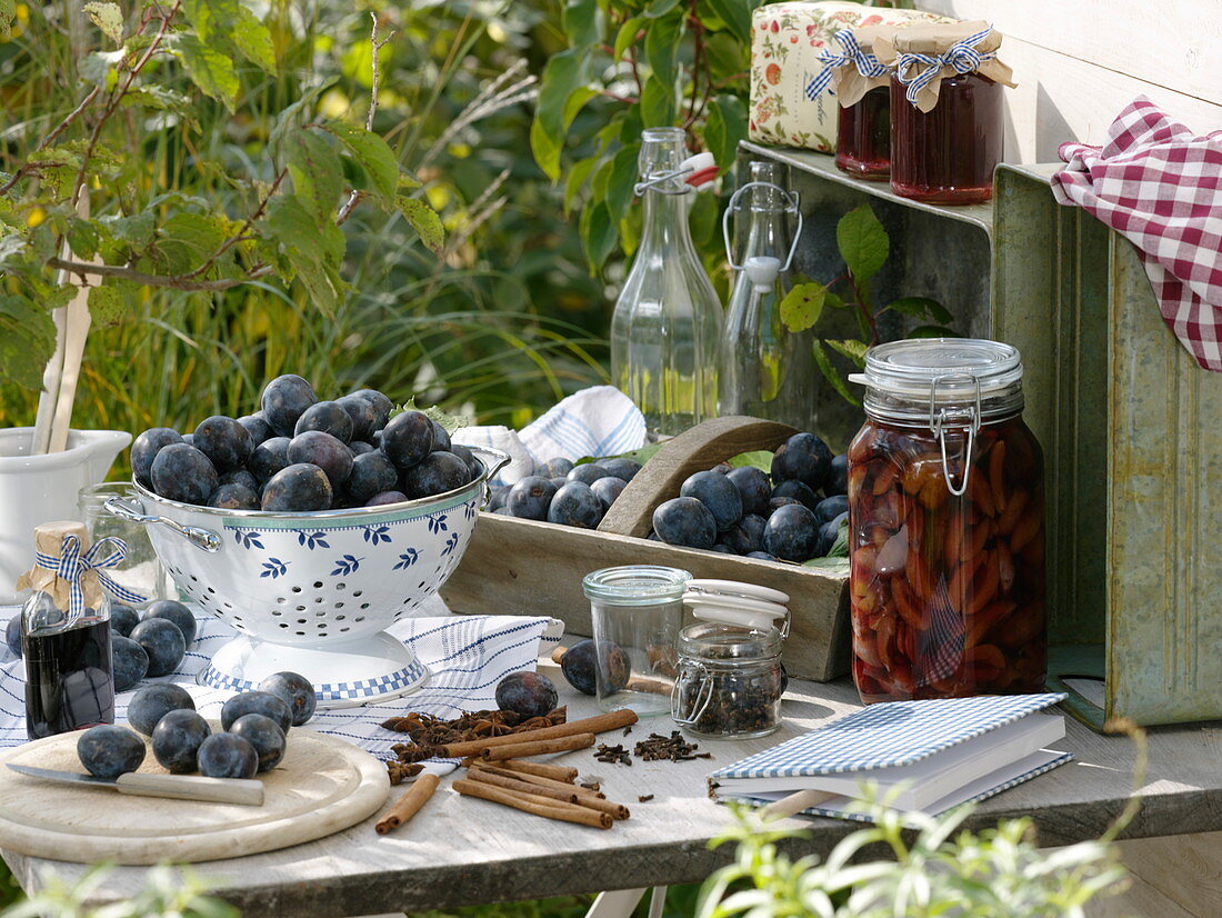 Freshly picked and canned plums on table