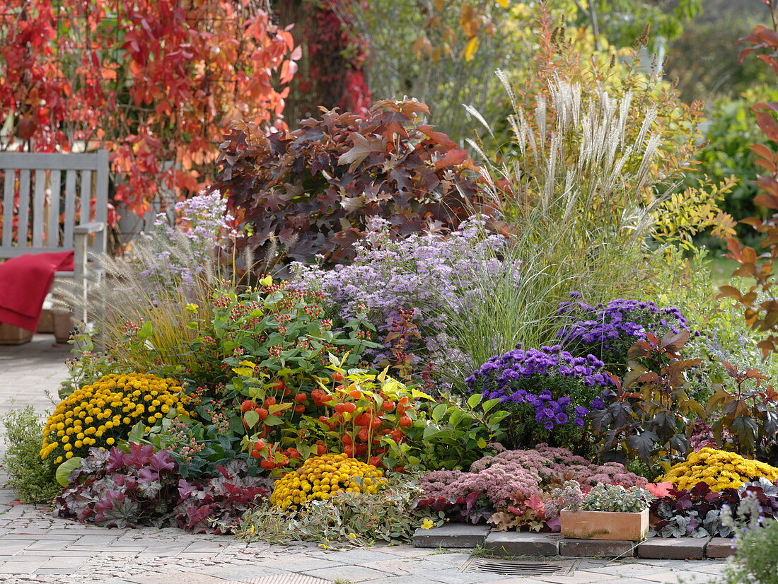 Buntes Herbstbeet an der Terrasse mit Eichenblatt- Hortensie