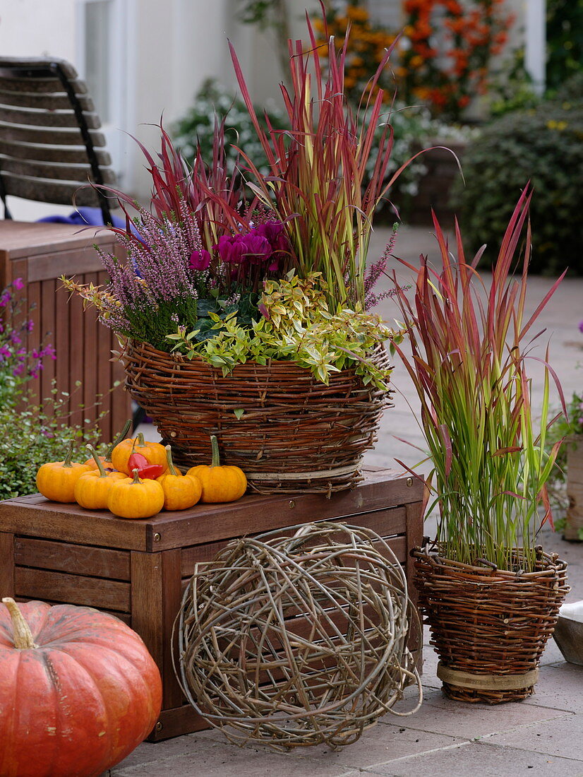 Homemade wicker baskets with autumnal planting