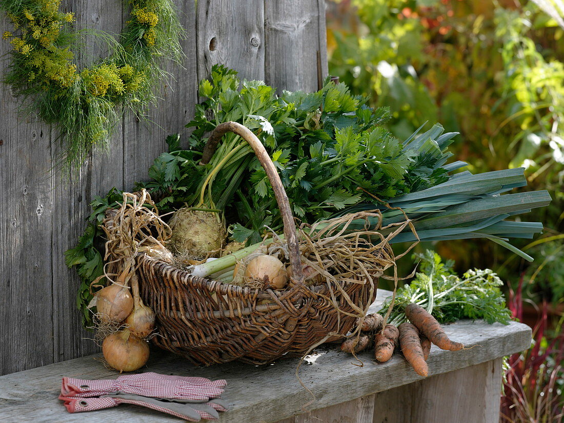 Freshly harvested vegetables in wicker basket