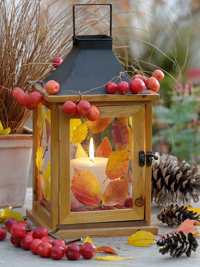 Lantern decorated with colorful autumn leaves and ornamental apples (Malus)