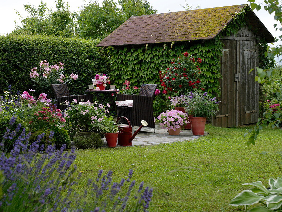 Kleine runde Terrasse mit Sitzgruppe und Kübelpflanzen