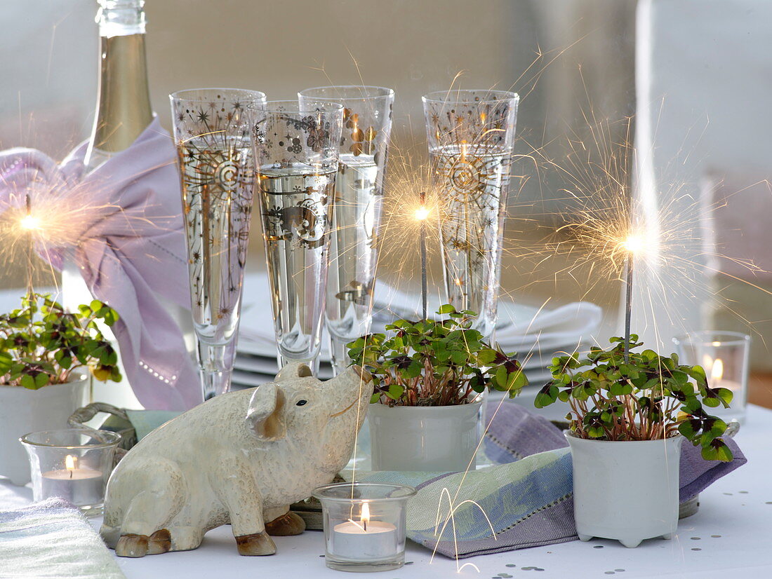 New Year's table decoration with Oxalis deppei, lucky pig