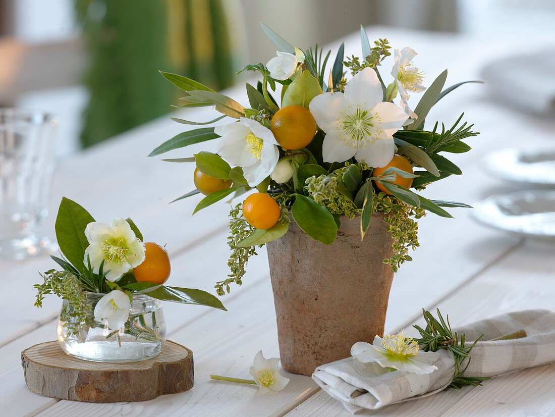 Kleine Duftsträuße aus Helleborus (Christrosen), Citrofortunelle microcarpa