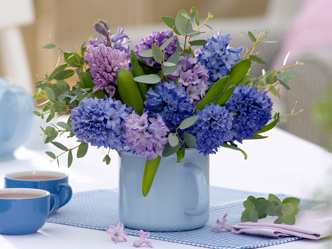 Bouquet of blue and purple Hyacinthus (hyacinth)