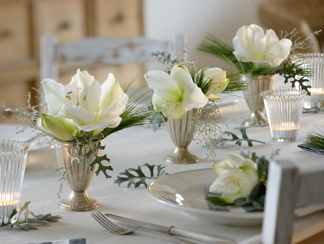 Festive amaryllis table decoration in white and silver