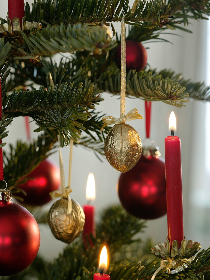 Golden nuts (Juglans), red balls and candles as a tree decoration
