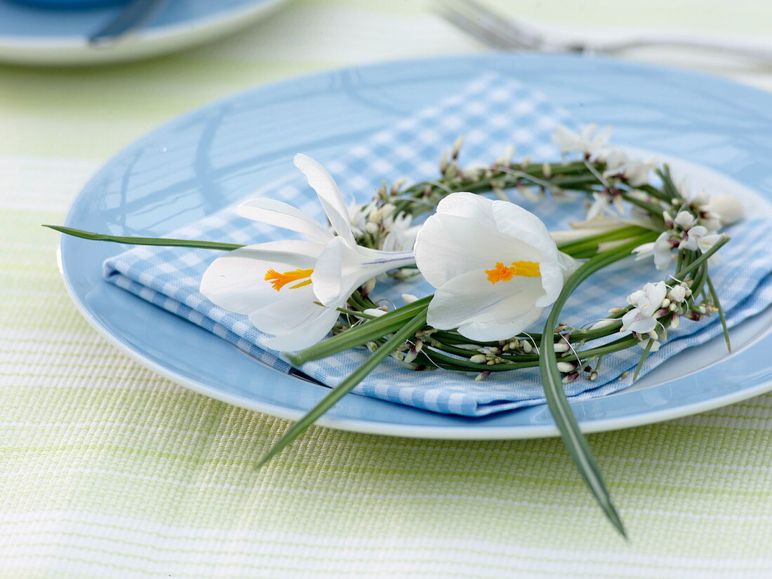 Kleiner Kranz aus Cytisus (Ginster) mit weißen Blüten von Crocus (Krokus)