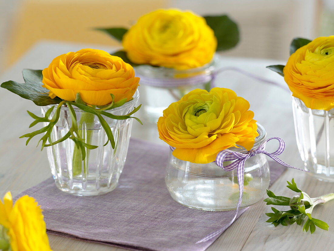 Ranunculus (Ranunkelblüten) kleinen in Gläsern