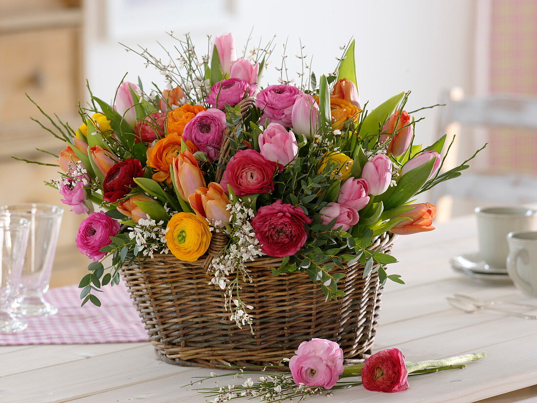 Spring arrangement in the basket