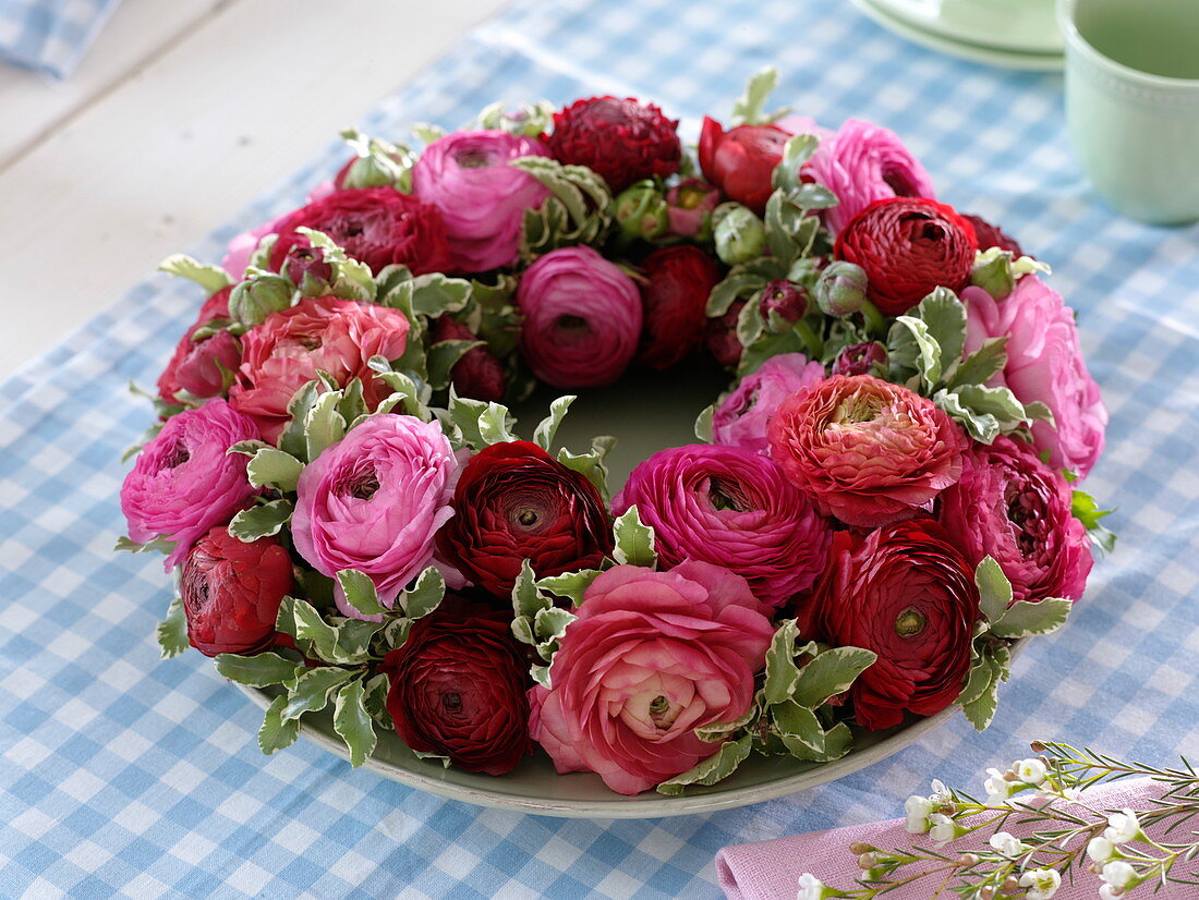 Kranz aus Ranunculus (Ranunkeln) und Pittosporum (Klebsame)