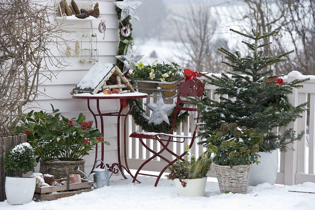 Winterbalkon mit Koniferen, Vogelfutterhaus, Schnee und Girlande