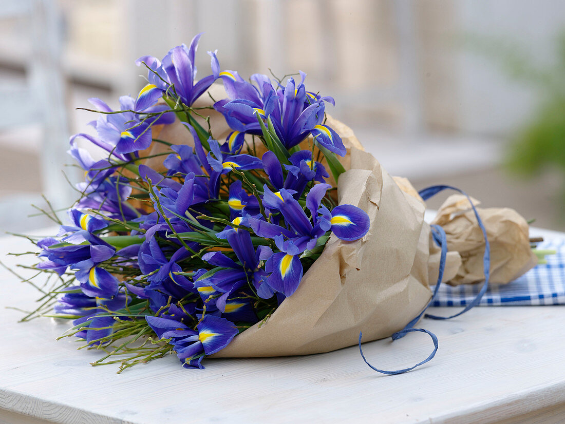 Blue spring bouquet in paper, Iris hollandica, Vaccinium