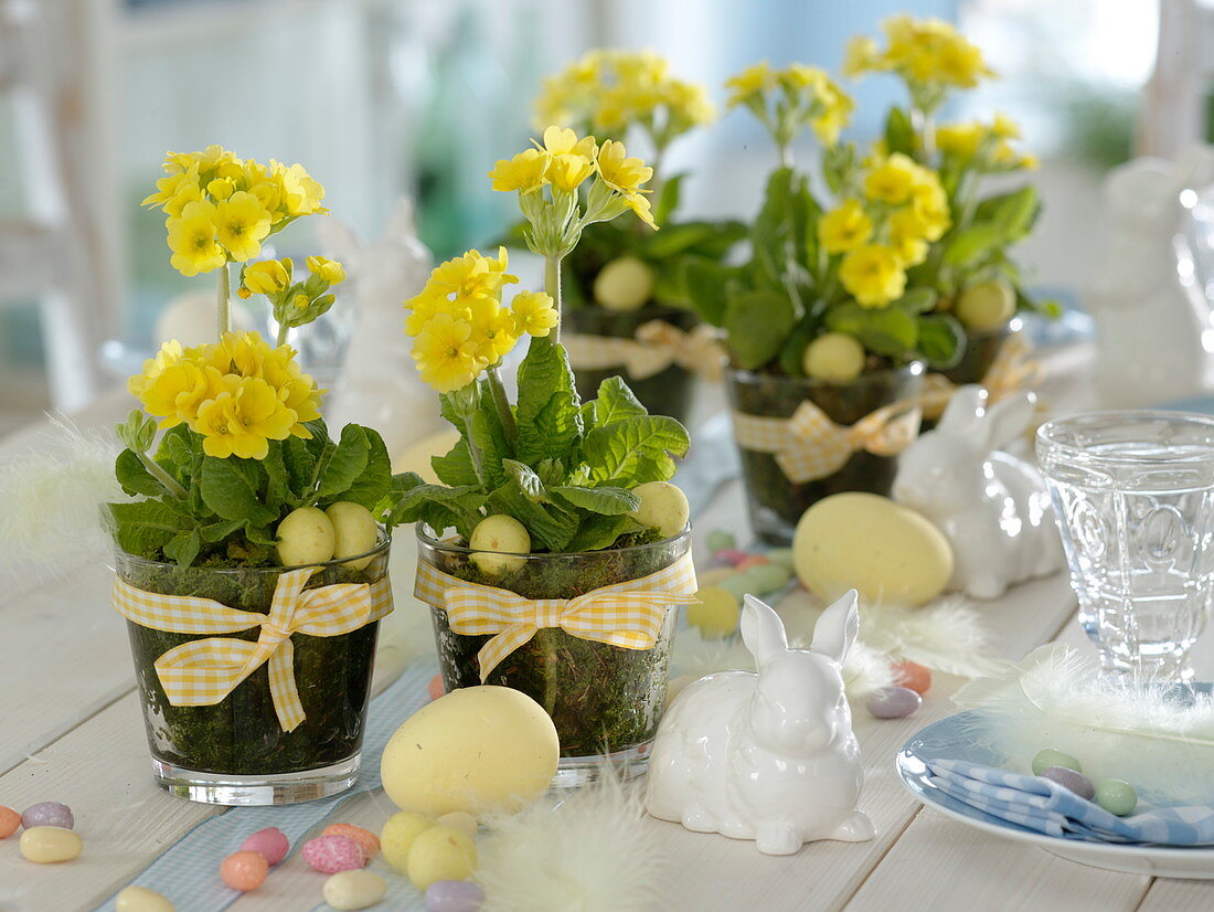 Ostertischdeko mit Primula veris (Schlüsselblumen, Himmelsschlüssel)