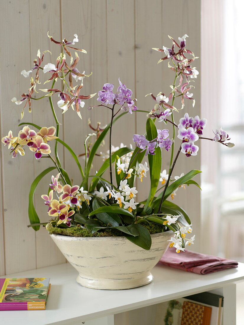 Mixed bowl with orchids