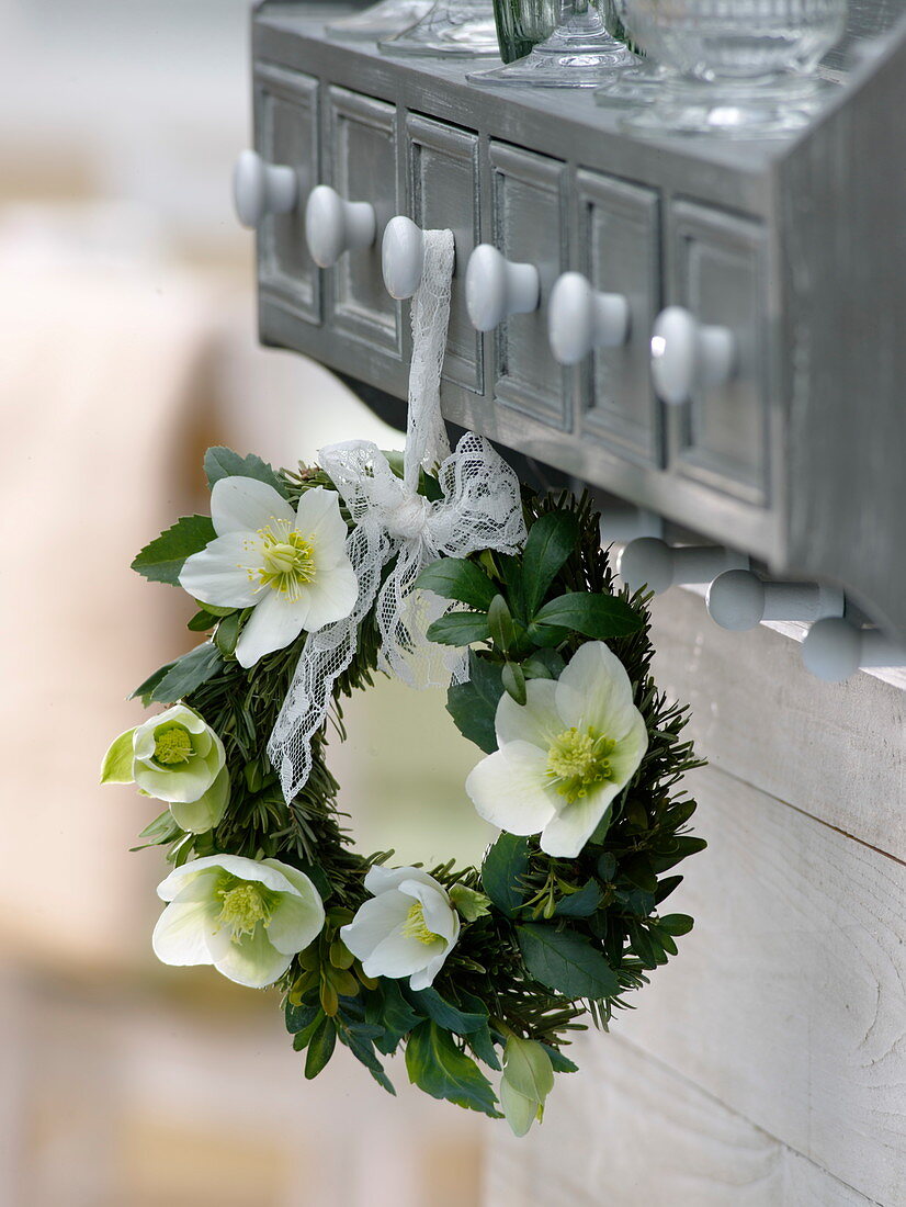 Small wreath of Helleborus niger, Buxus and Abies