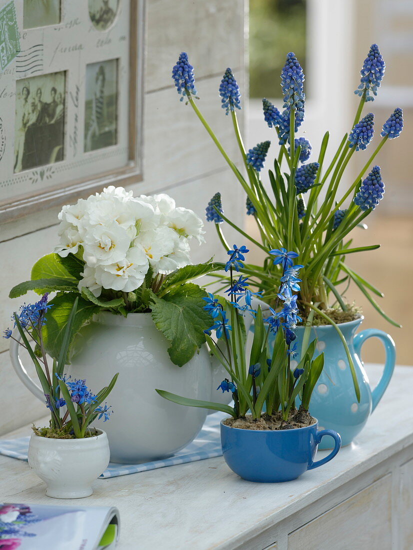 Blau-weißes Frühlings-Arrangement