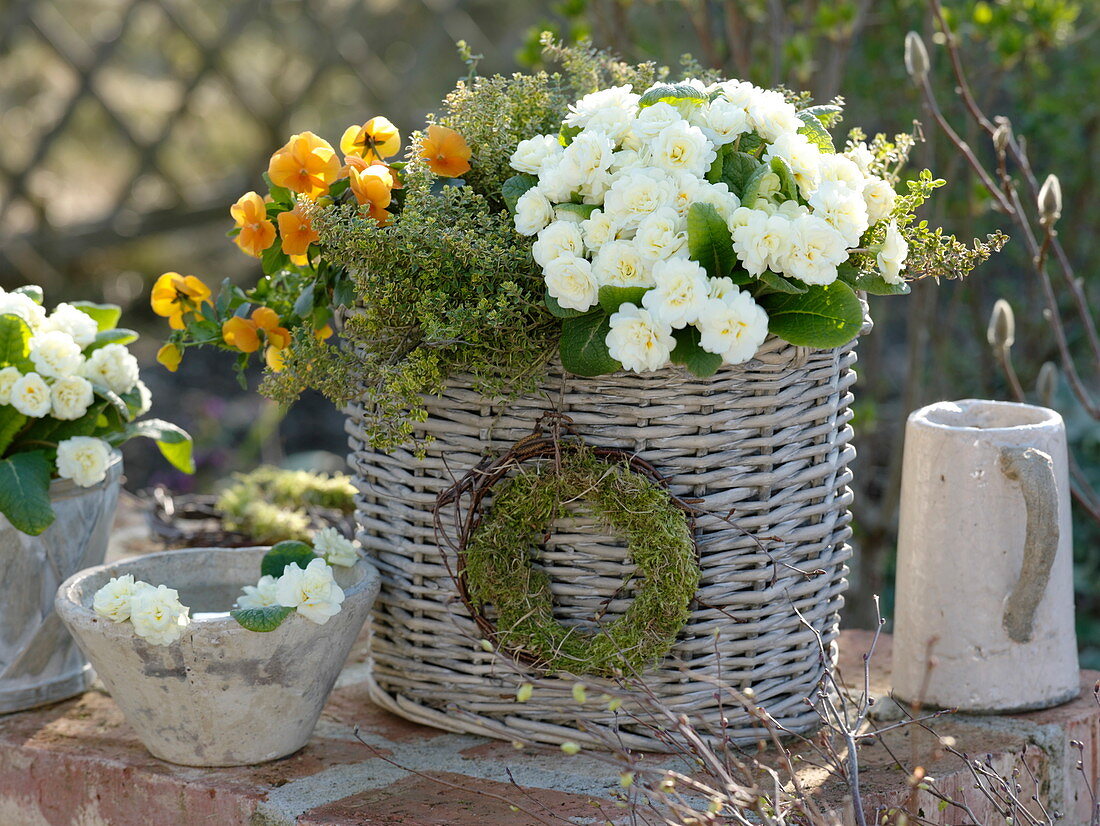 Spring basket with herbs and edible flowers