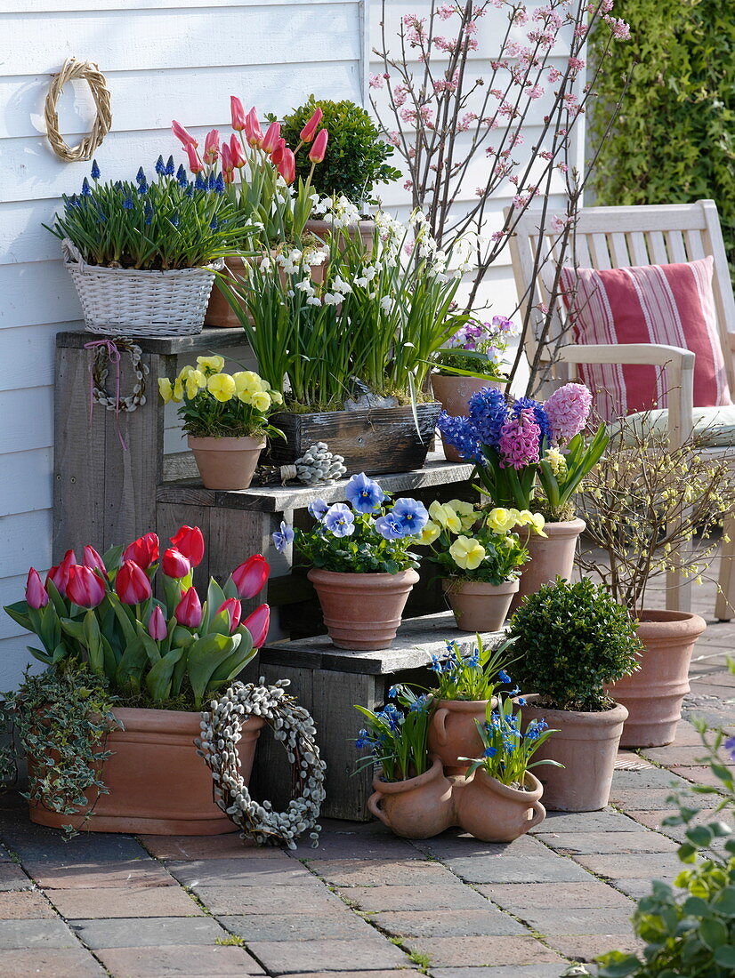 Plant stairs with spring bloomers