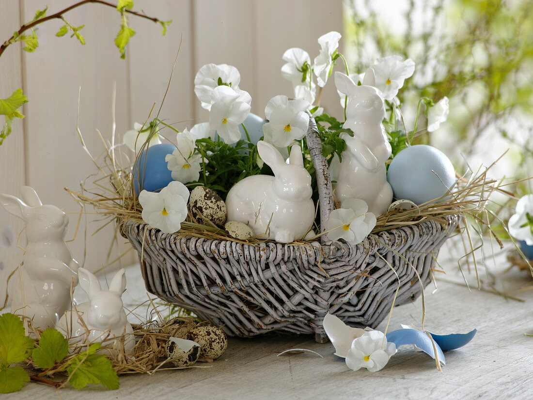 Kleiner Weidenkorb als Osternest mit Viola cornuta (Hornveilchen), Eiern