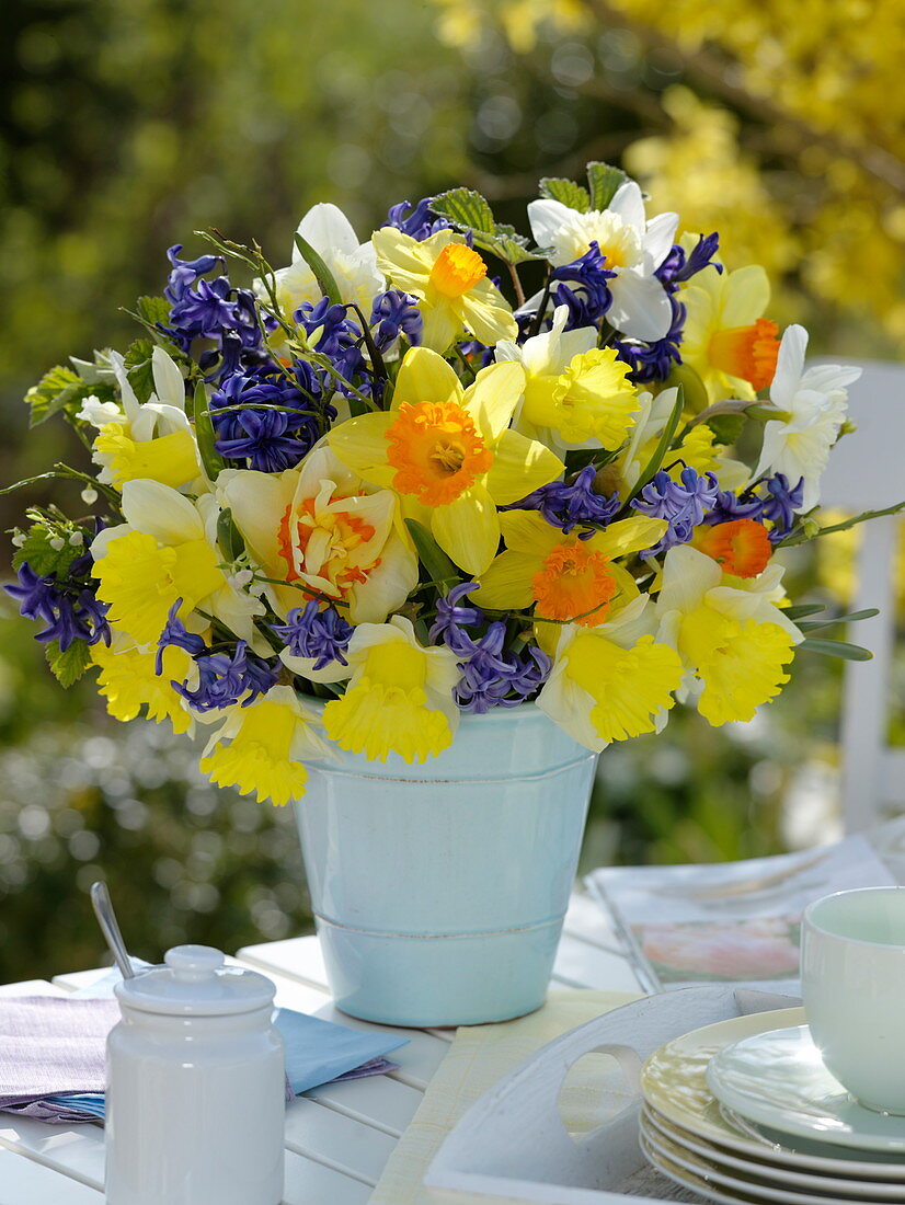 Blue-Yellow Spring Bouquet, Narcissus (Narcissus), Hyacinthus