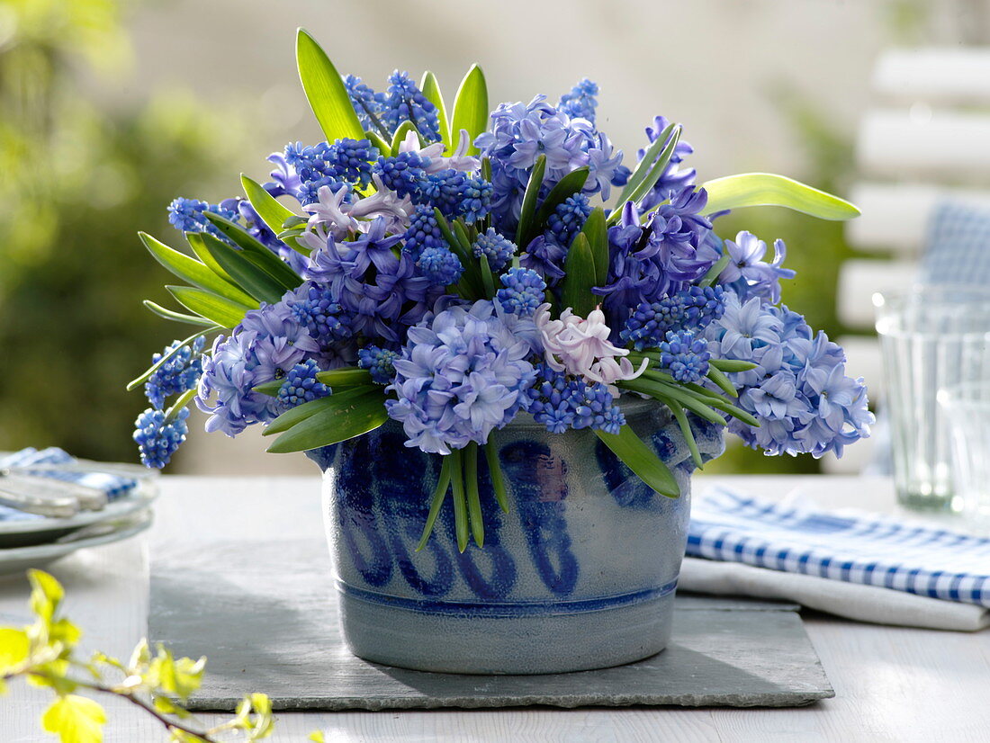 Blue bouquet of Hyacinthus, Muscari
