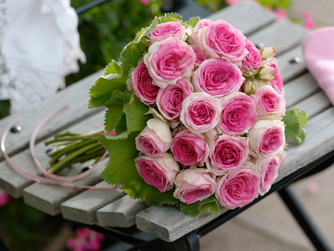Biedermeier bouquet of pink 'Mini-Eden' (Edelrose)