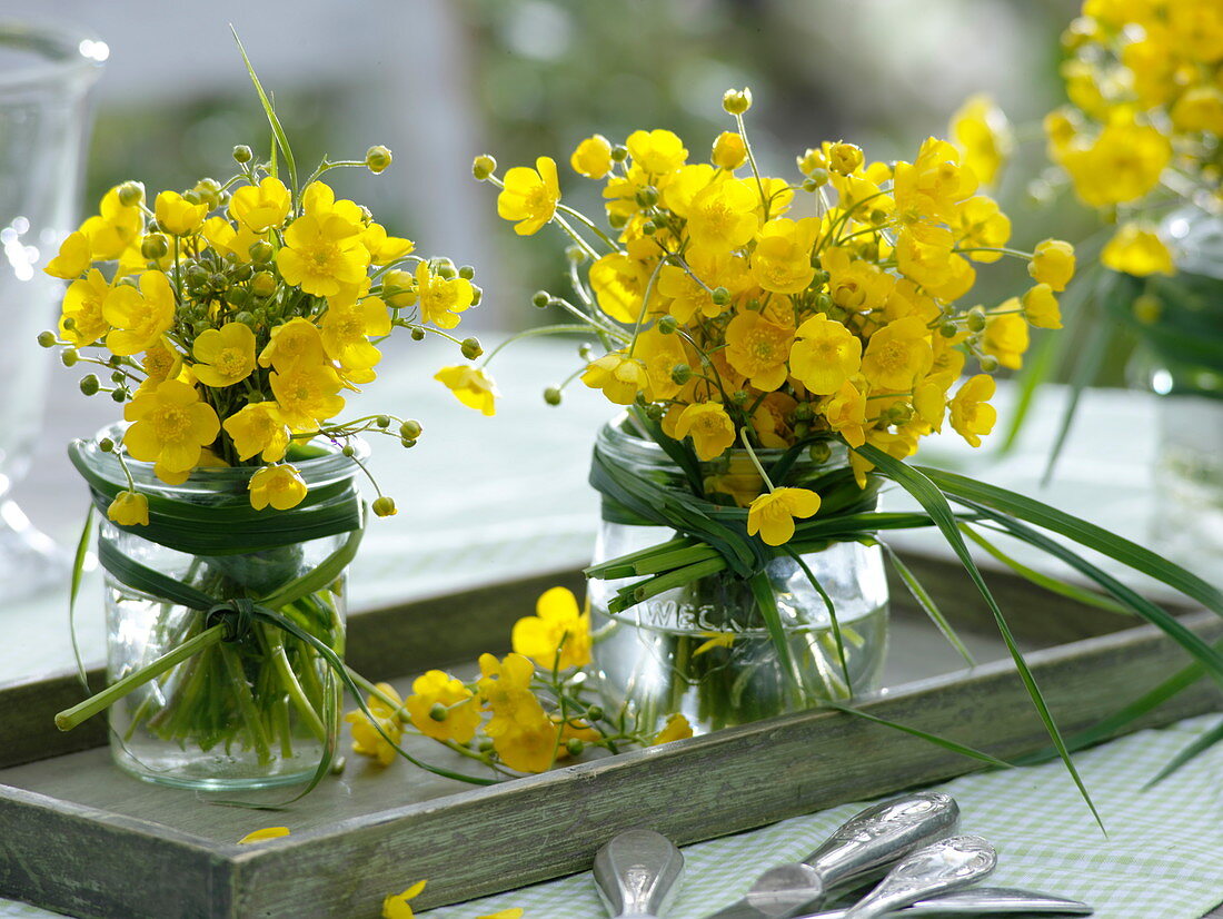Bouquets of Ranunculus acer in preserving jars