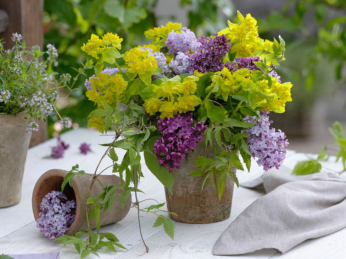 Violet-yellow bouquet, Syringa, Euphorbia