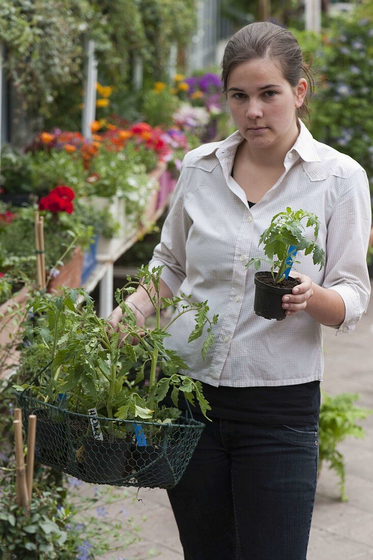 Woman buying tomato plants in the garden center