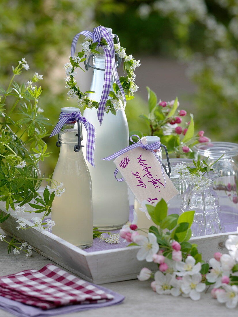 Flaschen mit Sirup von Waldmeister (Galium odoratum)