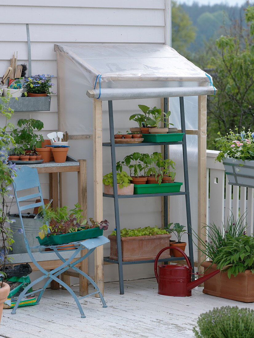 Selbstgebautes kleines Folien-Gewächshaus zur Anzucht auf dem Balkon