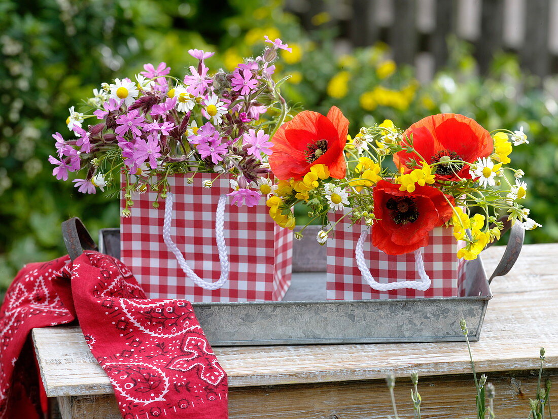 Wiesenblumen in rot-weiß-karierten Geschenk-Tüten