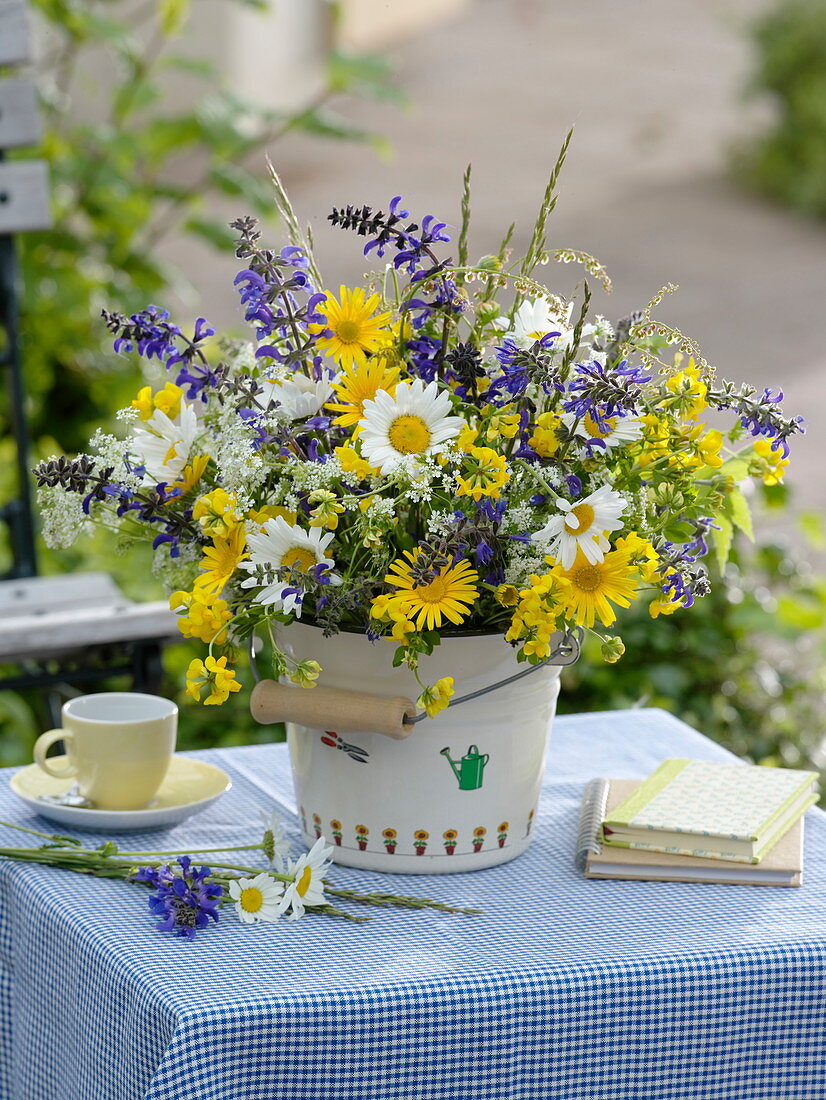 Leucanthemum vulgare (spring marguerite), salvia pratensis