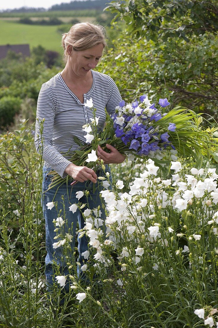Frau schneidet Glockenblumen und Gräser für einen Blumenstrauß