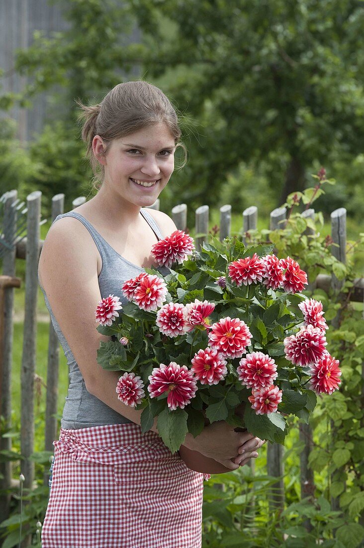 Young woman with Dahlia 'Duet' (jewelry dahlia) in the pot